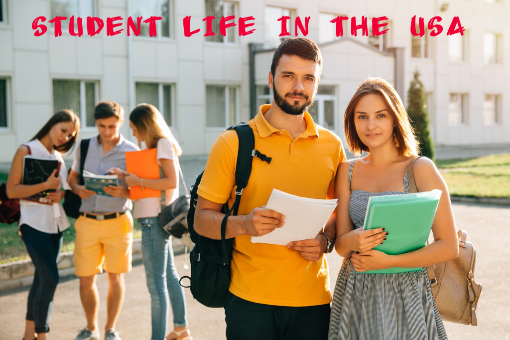 phd student life in usa